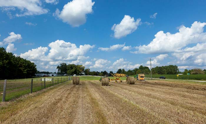 droit privé bail rural