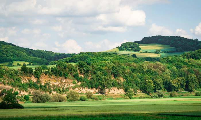 classer une propriété foncière en réserve naturelle