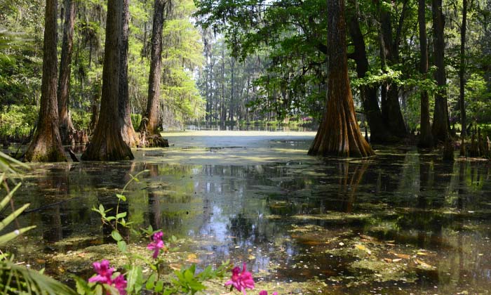 lois et règlements sur les constructions en zones humides